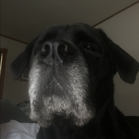 Meet your Posher, Kelly - Picture 1 of 1